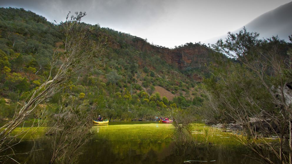 Cooma Area things to do & more Visit NSW